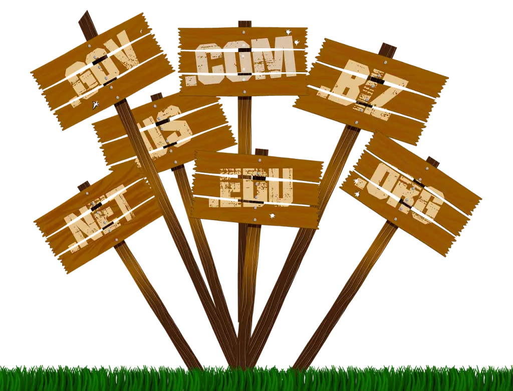 Domain Name Basics – A Beginner’s Complete Guide