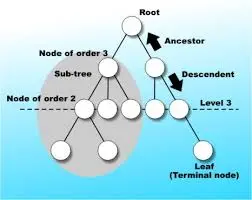 Data Structures: Trees Explained for Beginners