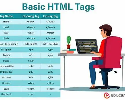 HTML Basics for Beginners – A Complete Step-by-Step