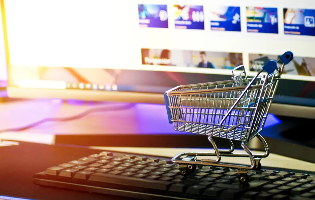 Complete E-commerce Guide for Starting Online Store 2025